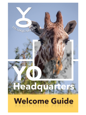 Brochure Design by LeonFX for Rode Designs | Design: #15050985