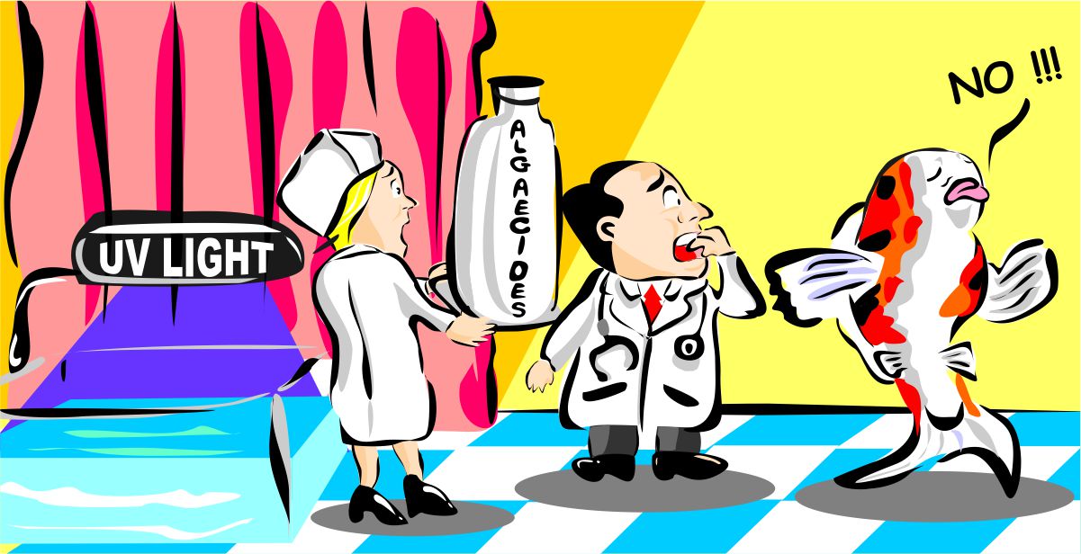 Illustration Design by B'signs for Nualgi America, Inc | Design #15098492