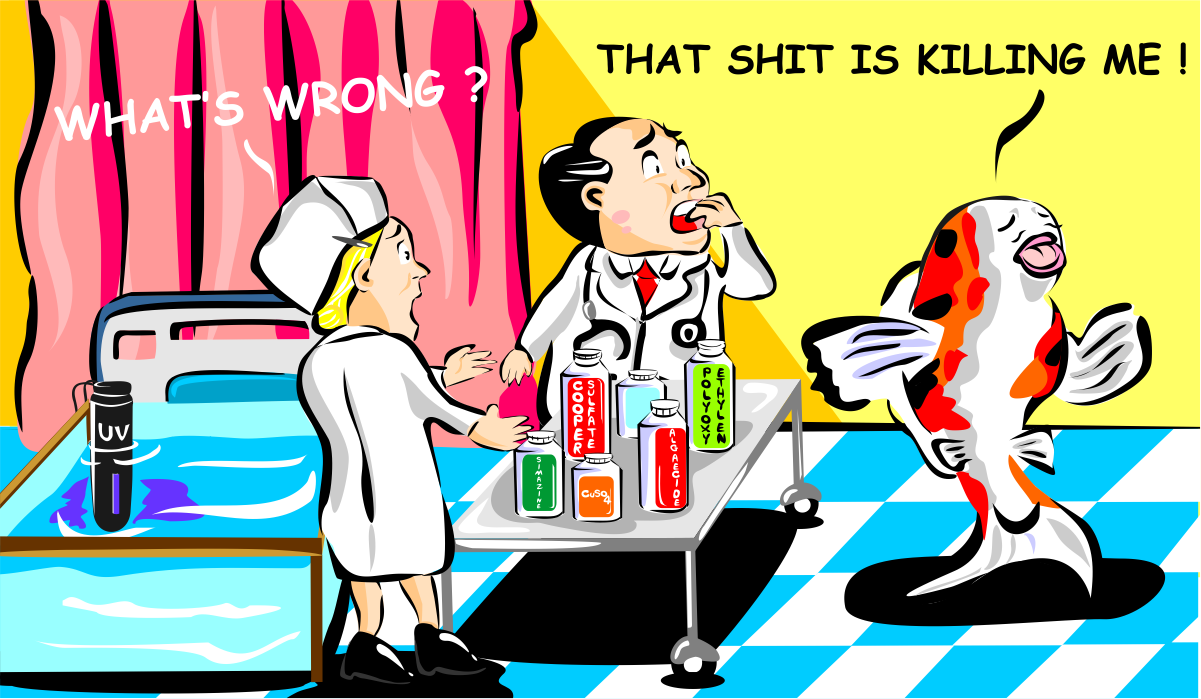 Illustration Design by B'signs for Nualgi America, Inc | Design #15112546