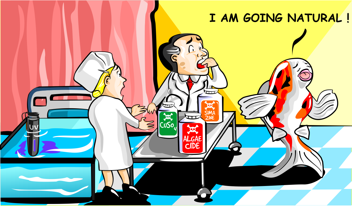 Illustration Design by B'signs for Nualgi America, Inc | Design #15211252