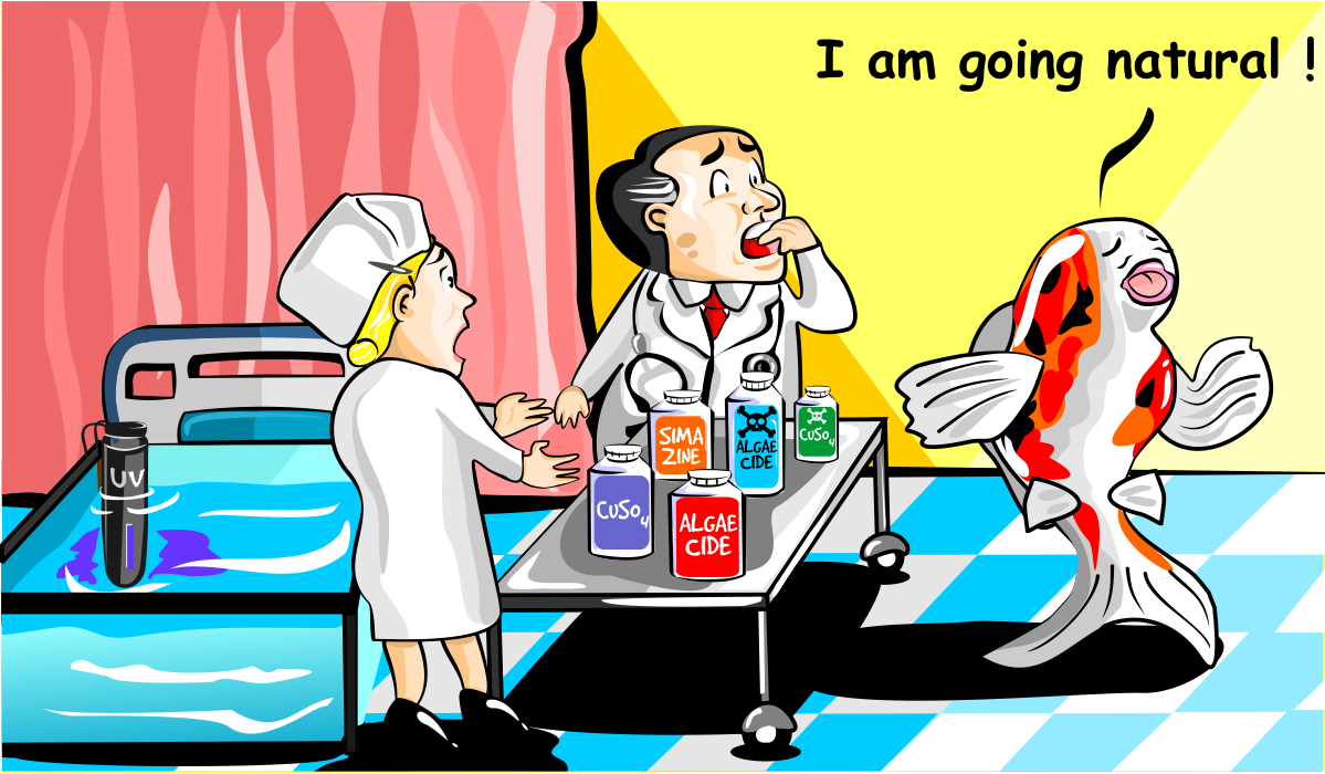 Illustration Design by B'signs for Nualgi America, Inc | Design #15211550