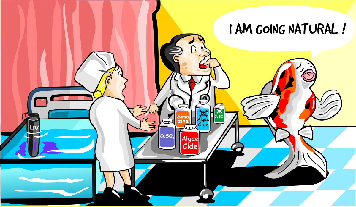 Illustration Design by B'signs for Nualgi America, Inc | Design #15211721