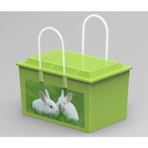 Graphic Design by Mahbub