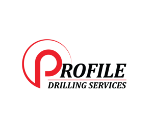 Logo Design by Top king  designer for this project | Design: #15089948