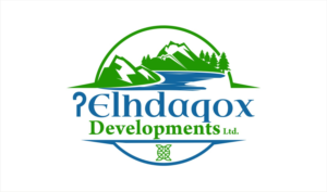 Logo Design by Soul Light