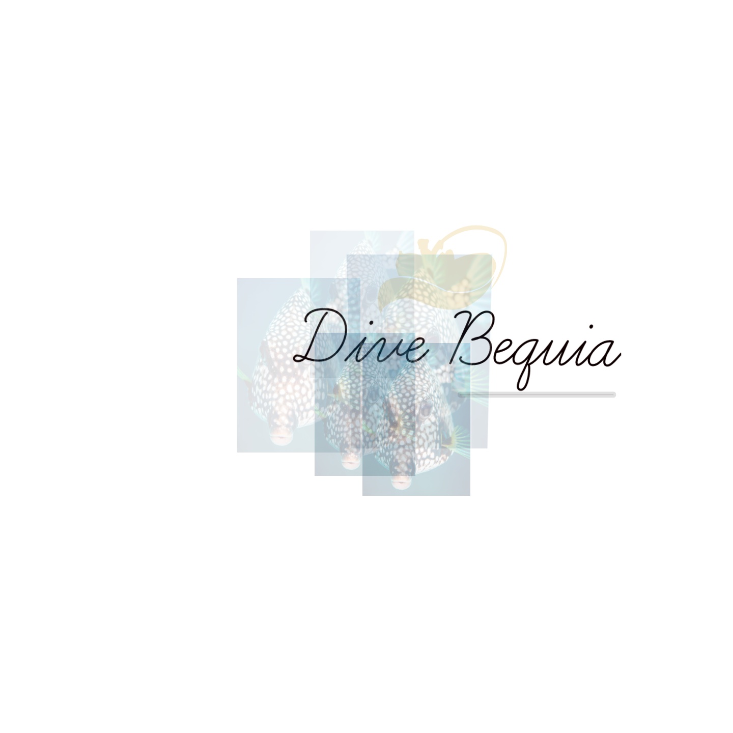 Logo-Design von Iqra Sarfaraz für dieses Projekt | Design #15152727