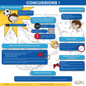 Infographic Design by Kings Bishop Design