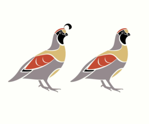 Vector Design by GliderGraphx