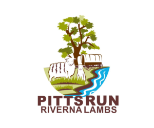Logo Design by B'signs