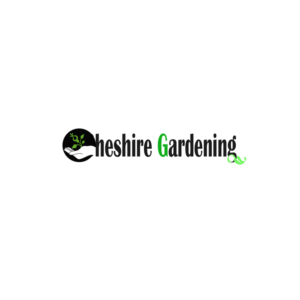 Logo Design by madD