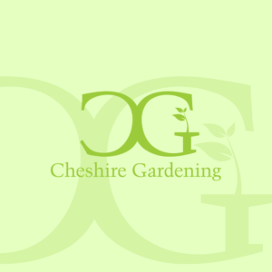 Logo Design by Rob McKeeve