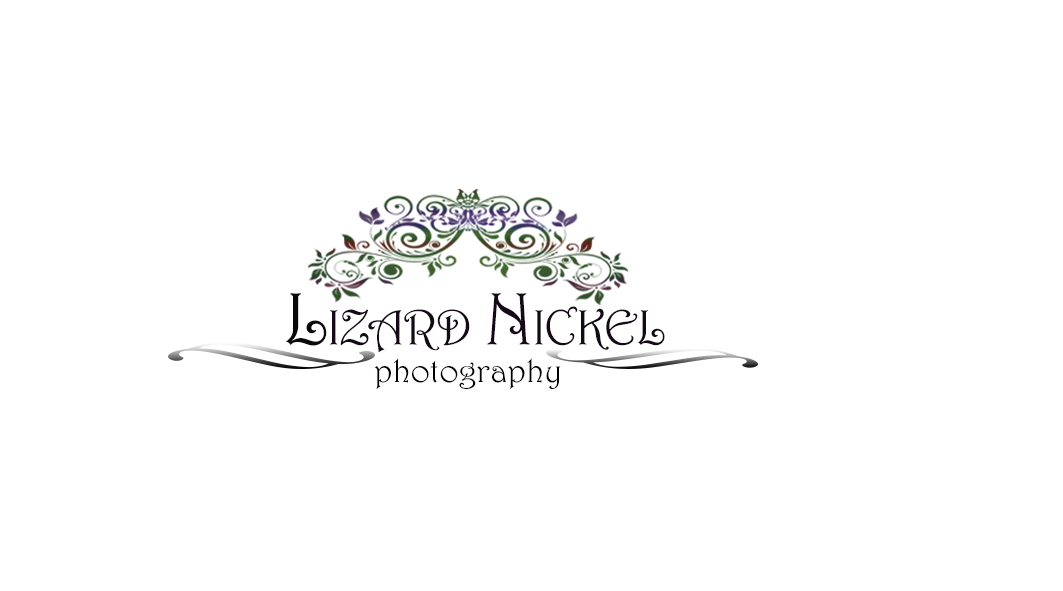Design de Logo par Marinescu Rozalia pour ce projet | Design #2576009