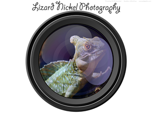 Logo Design by Ryan G