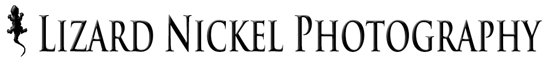 Logo Design by johnpfoley76 for this project | Design #2563651