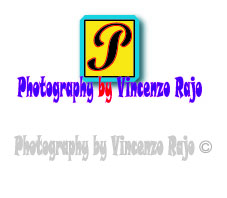 Logo Design by R S for Vincenzo Rajo | Design #38895