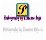 Logo Design by R S for Vincenzo Rajo | Design: #38895
