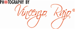 Logo Design by Gekko Web Design
