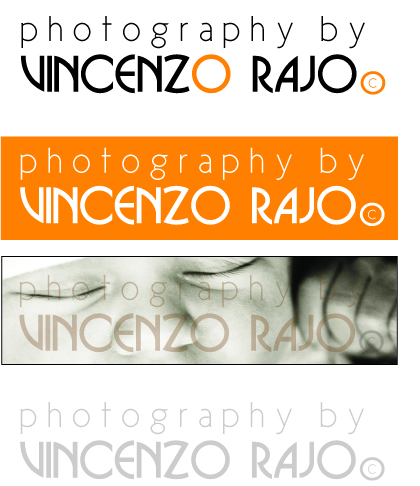 Logo Design by Candice Riley for Vincenzo Rajo | Design #37327