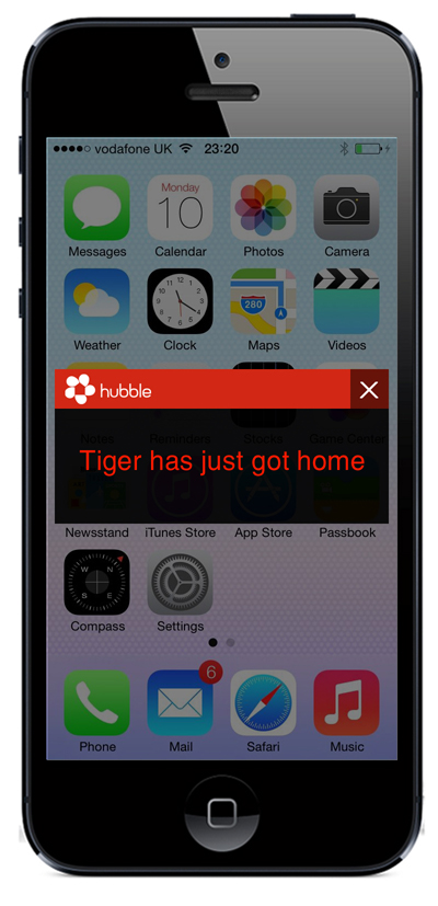 App Design by DesignersDose for Monitor Everywhere | Design #2601732