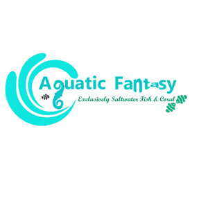 Logo Design by Rajesh Mishra