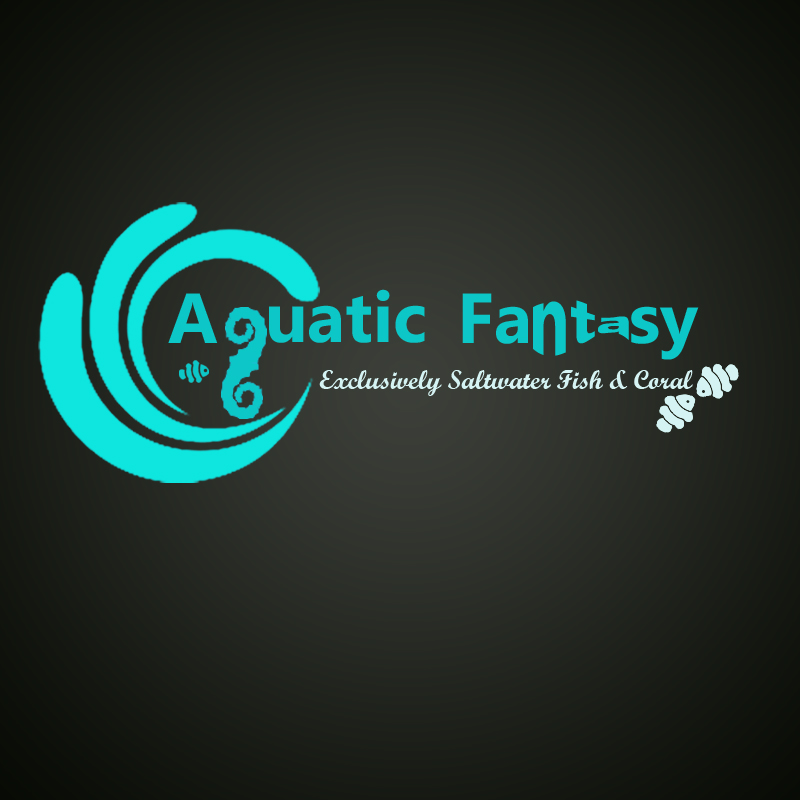 Logo Design by Rajesh Mishra for Webstract%2C+Inc. | Design #2566661