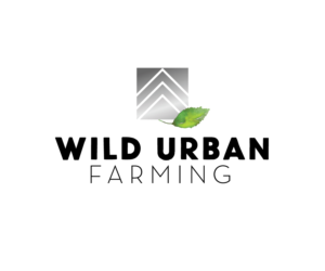 Logo Design by isabel.paoli for this project | Design: #15102385