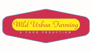 Logo Design by Live Design Pro