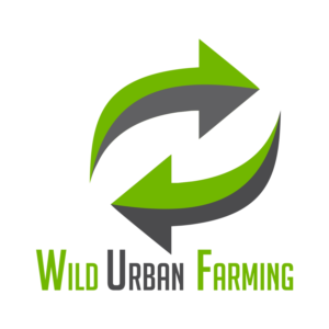 Logo Design by Hai Haiyoom