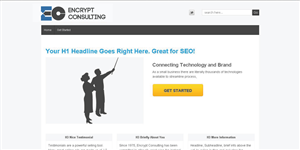 Logo Design by Designer for Encrypt Consulting | Design: #576585