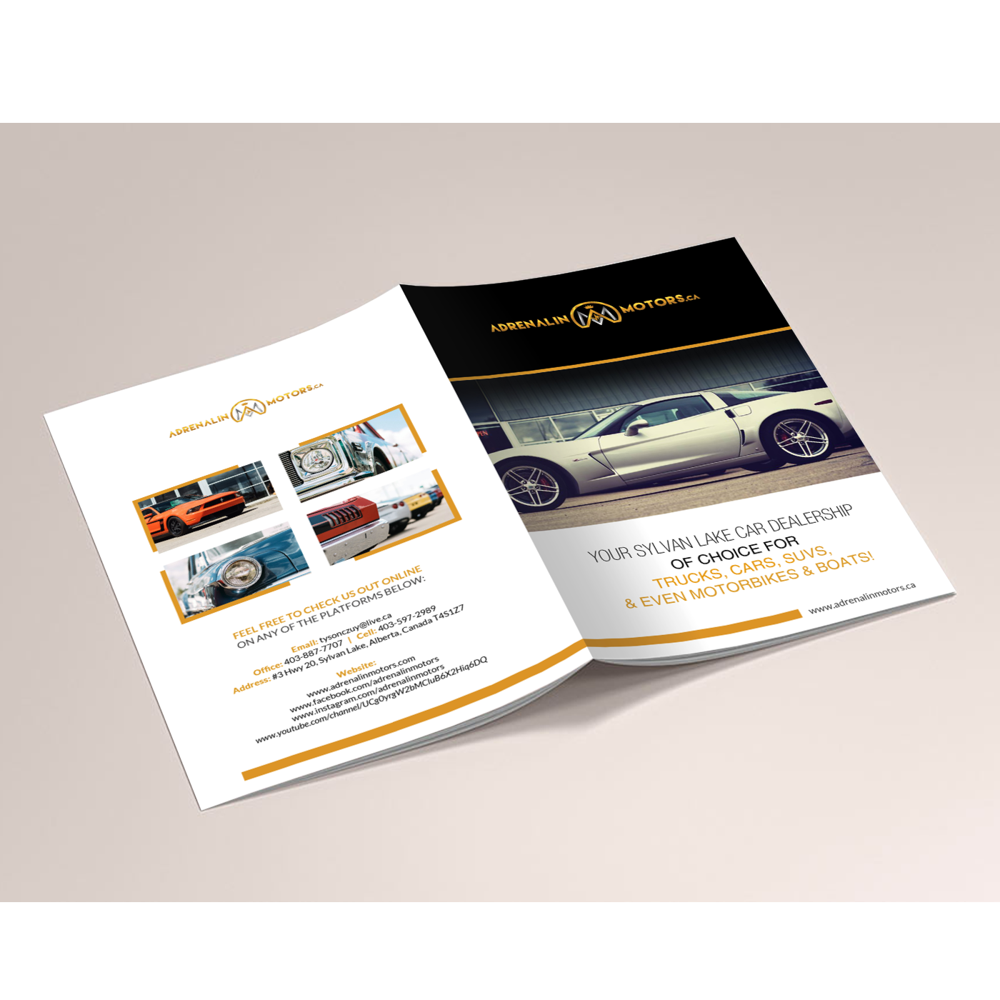 Flyer Design by creative.bugs for this project | Design #15116150