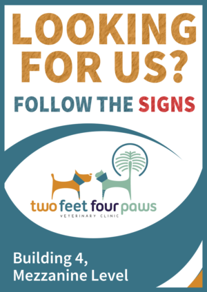 Poster-Design von Gfx.26™ für 2Feet4Paws | Design: #15134772