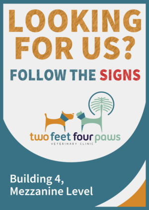 Poster-Design von Gfx.26™ für 2Feet4Paws | Design: #15134774