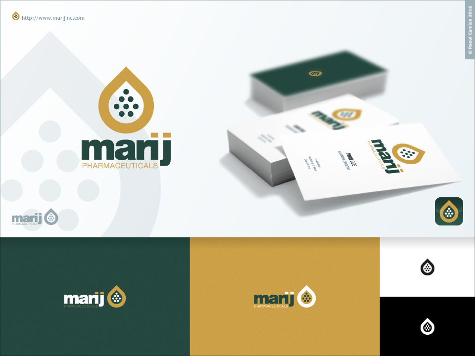 Logo Design by Raoul Camion for this project | Design #15166336
