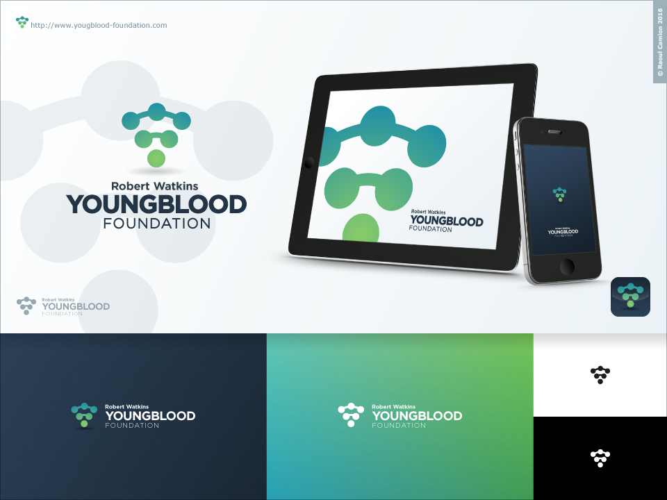 Logo Design by Raoul Camion for this project | Design #15166331