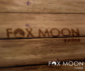 Logo Design by autumnstears