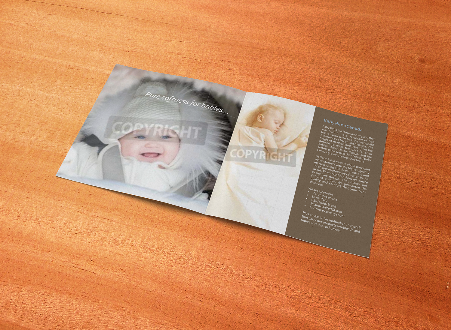 Design de Catalogue par barinix pour ce projet | Design #15149907