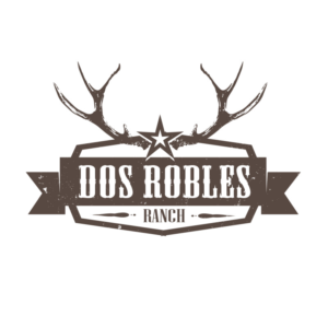 Logo Design by Valtti Design