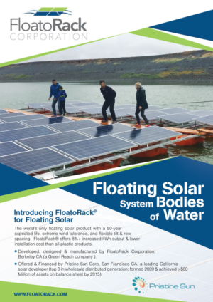 Flyer Design by Black Stallions Impressive Solutions for Green Reach Inc. | Design #15126689