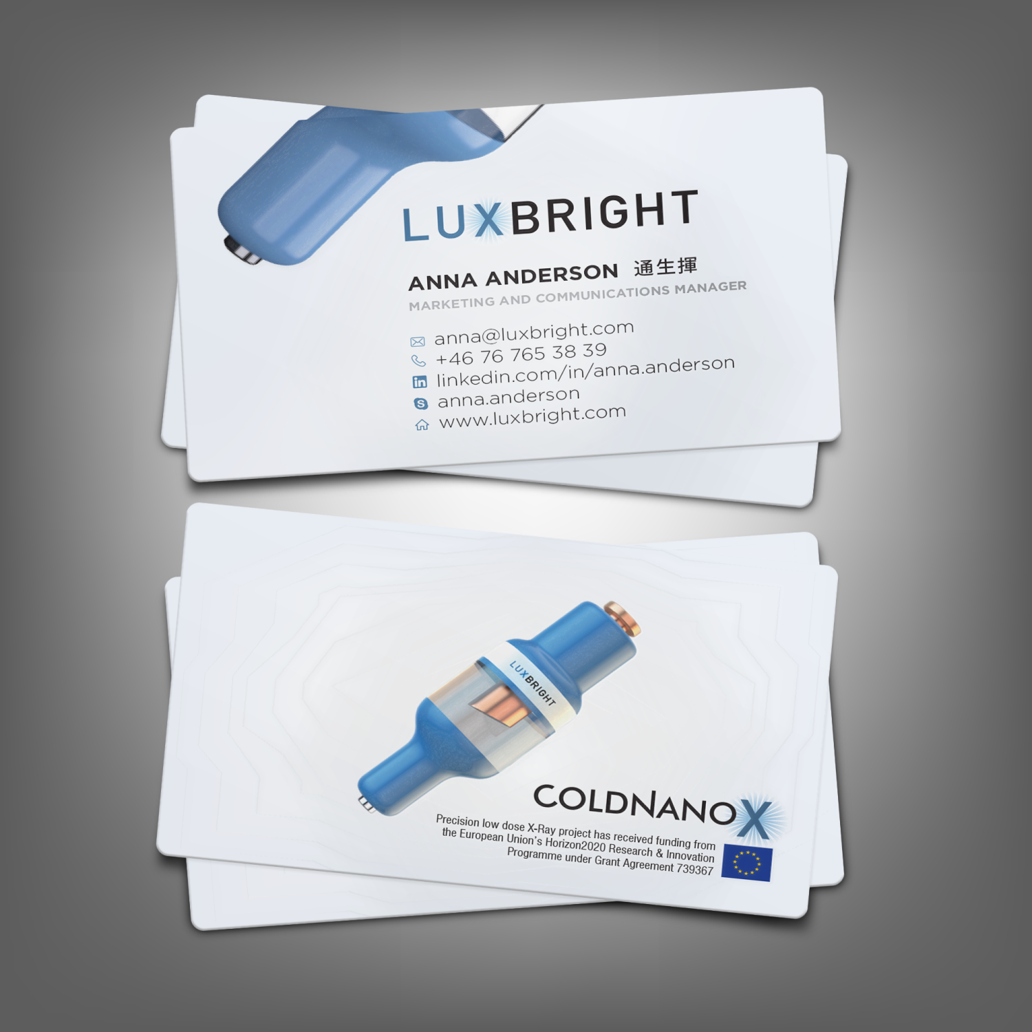 Business Card Design by adiazudin for EPIC SH | Design #15890418