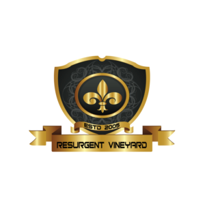 Logo Design by madD
