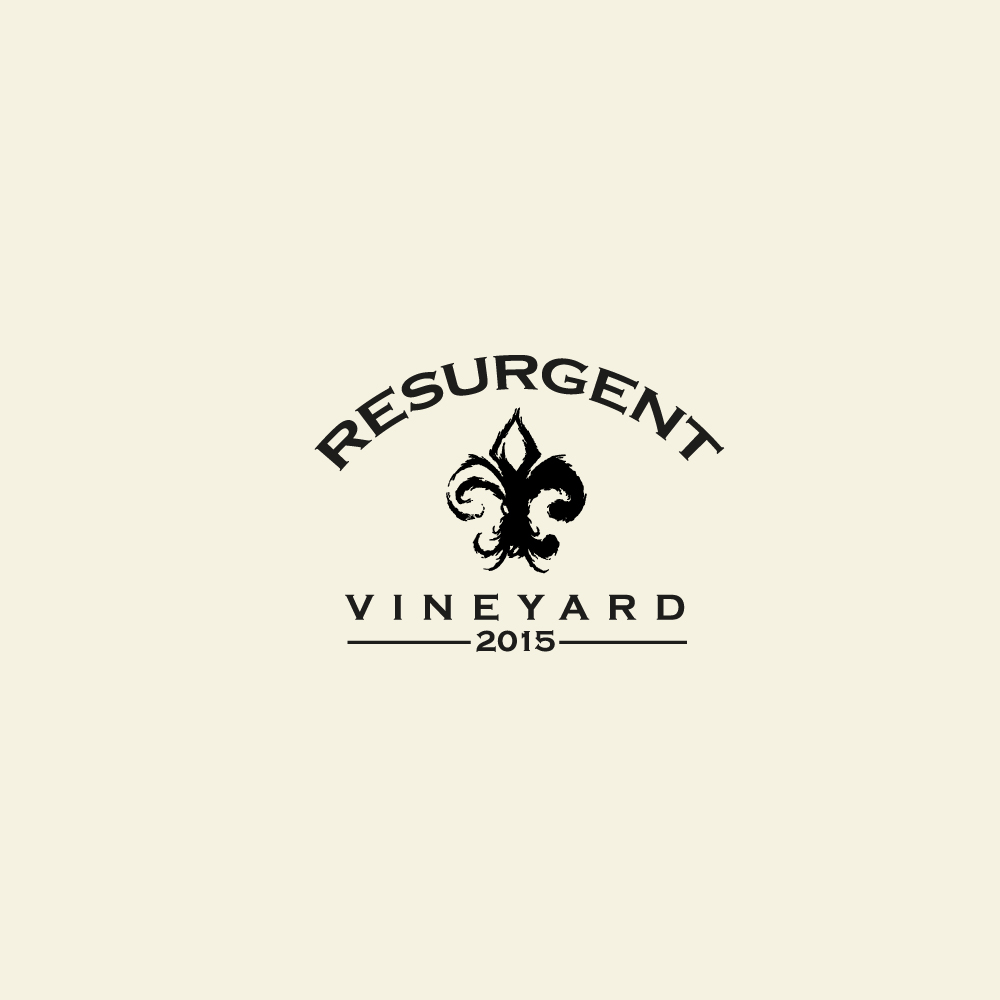 Logo-Design von Sujit Banerjee für calvan enterprises | Design #15128786
