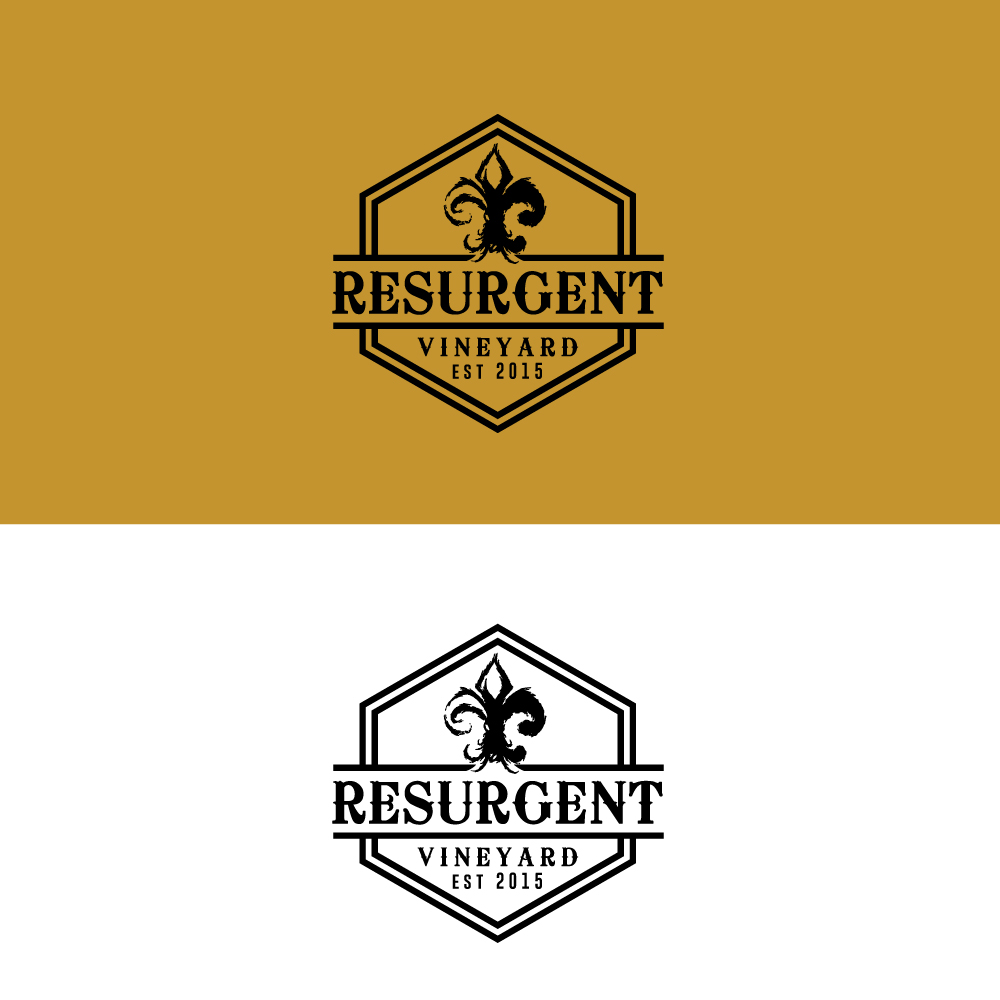 Logo Design by Sujit Banerjee for calvan enterprises | Design #15128788