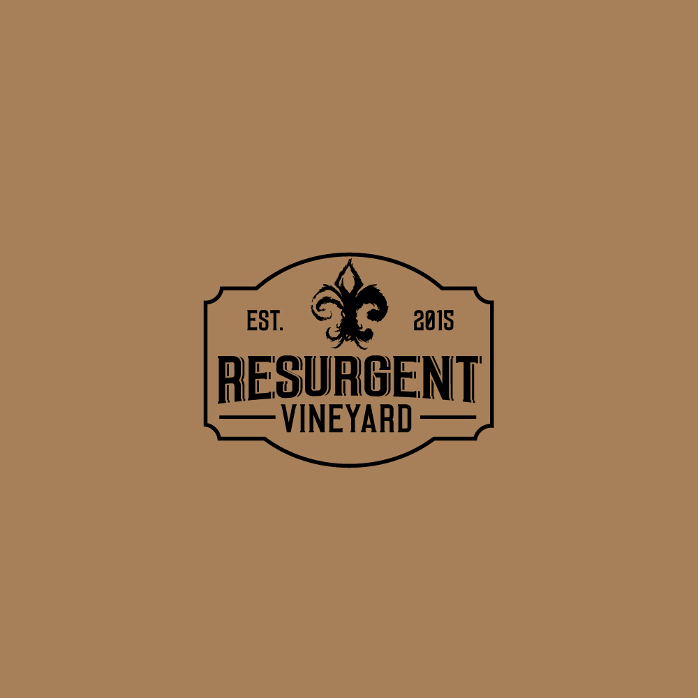 Logo-Design von Sujit Banerjee für calvan enterprises | Design #15128790