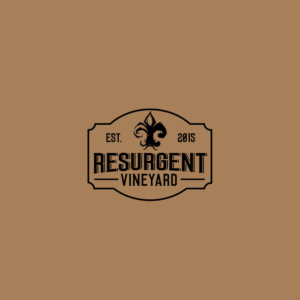 Logo-Design von Sujit Banerjee für calvan enterprises | Design #15128790