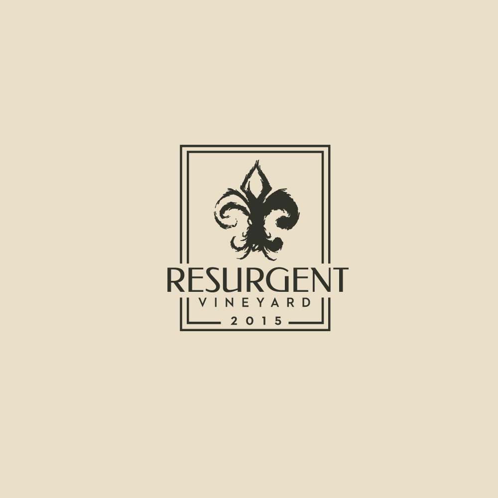 Logo Design by Sujit Banerjee for calvan enterprises | Design #15128794