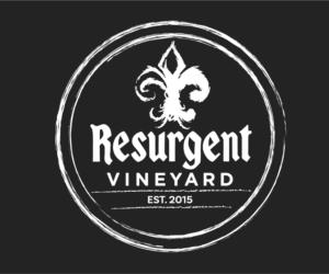 Logo Design by Jay Design