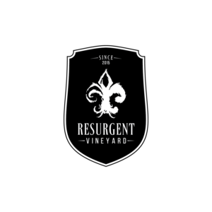 Logo Design by CS_Creatives for calvan enterprises | Design: #15168432