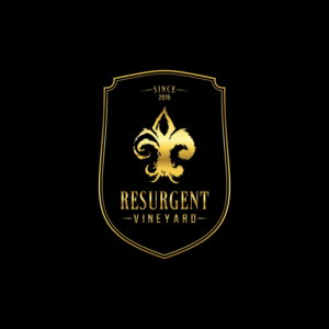 Design de Logo par CS_Creatives pour calvan enterprises | Design : #15168435