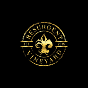 Logo Design by CS_Creatives for calvan enterprises | Design: #15218389