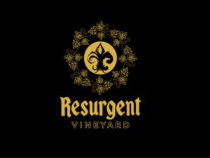 Logo-Design von Titudesign für calvan enterprises | Design #15229893